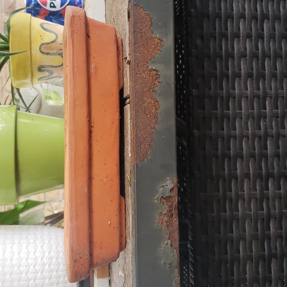 Bonsai/ succulent terracotta planter